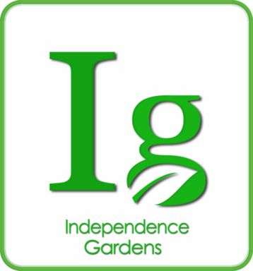 IG New Logo Final_realistic2.png