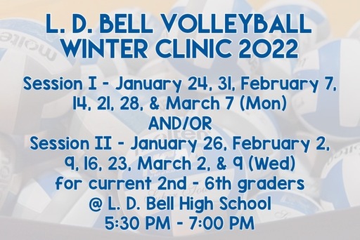 LDBVB Winter Clinic 22 ad.JPG